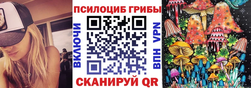 Псилоцибиновые грибы MAGIC MUSHROOMS купить Неман